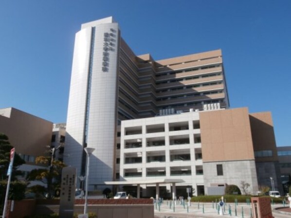 紀三井寺駅 徒歩12分 1階の物件内観写真